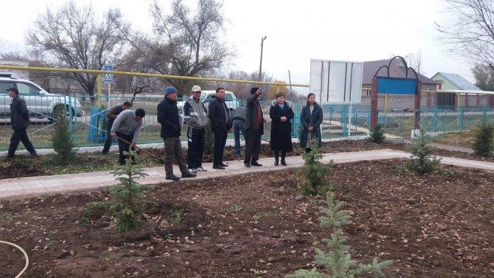 Жаңа аллея 