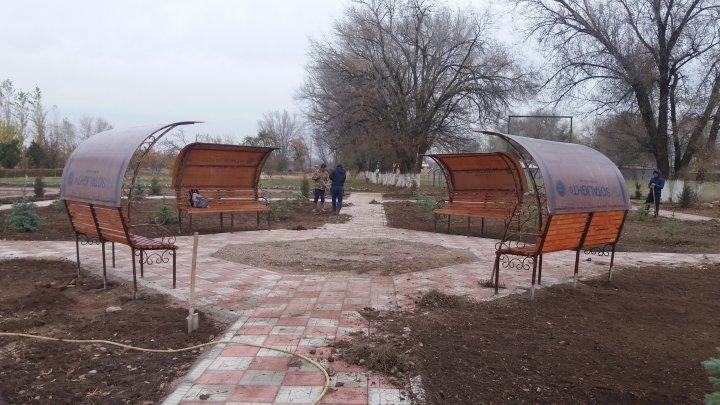Жаңа аллея 