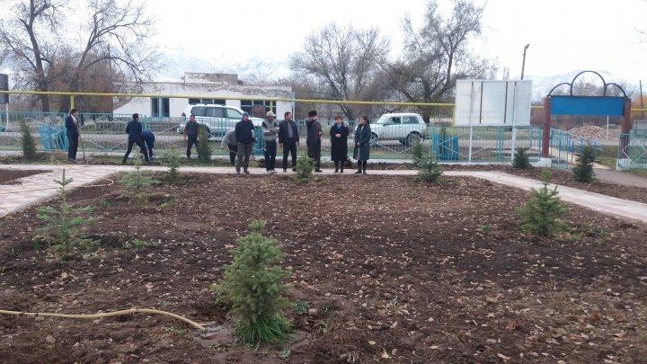 Жаңа аллея 