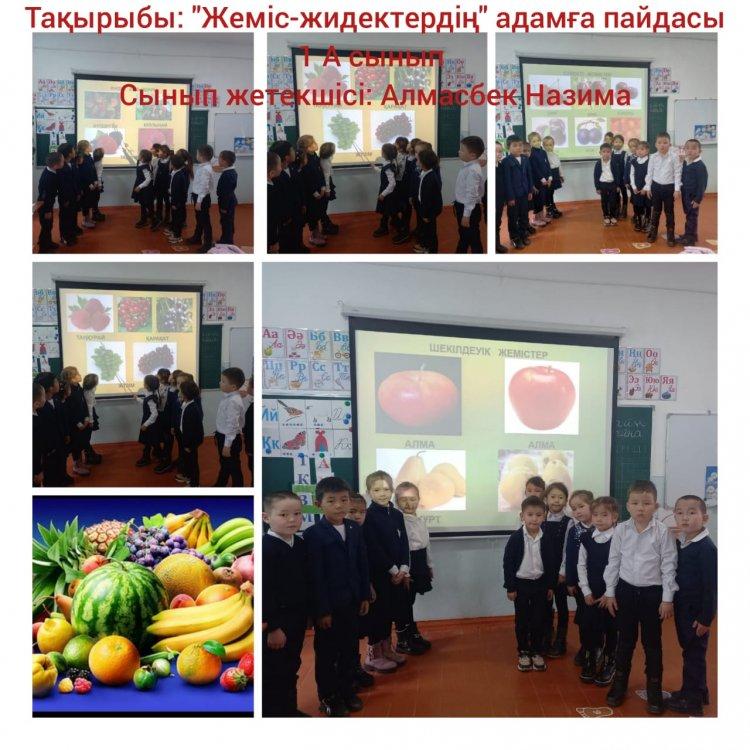 "Жеміс-жидектердің адамға пайдасы"