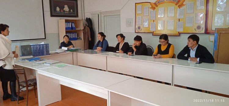 Жас мамандарға әдістемелік көмек көрсету