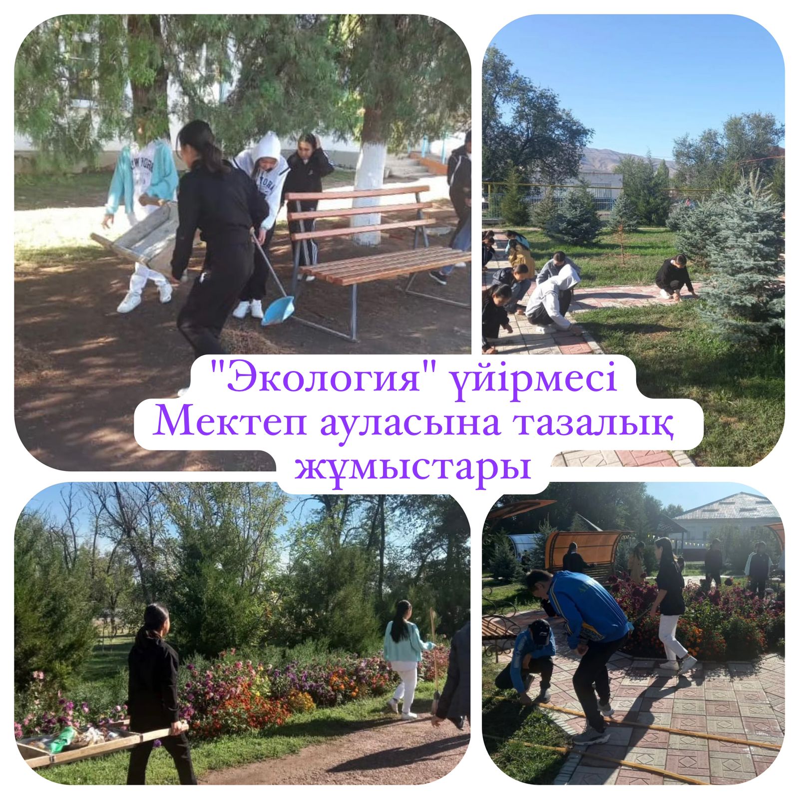 "Баләурен" лагерінің "Экология" үйірмесіне қамтылған балалар мектеп ауласында тазалық жұмыстарын жүргізіп, табиғатты аялау, қамқорлық жасау бағытында еңбек етті.